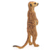 Papo Standing Meerkat Figure