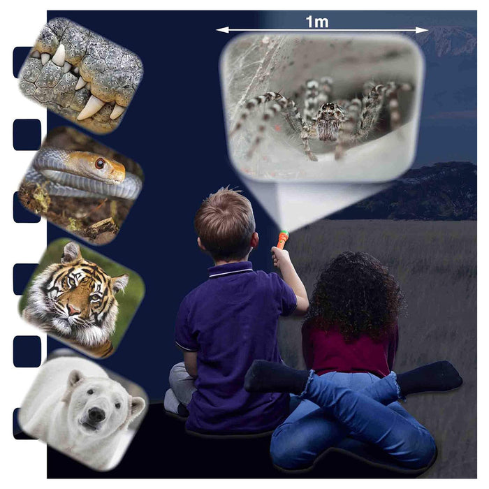 Brainstorm Most Deadly Torch & Projector