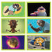 Panini Zootropolis 2 Sticker Collection Multiset