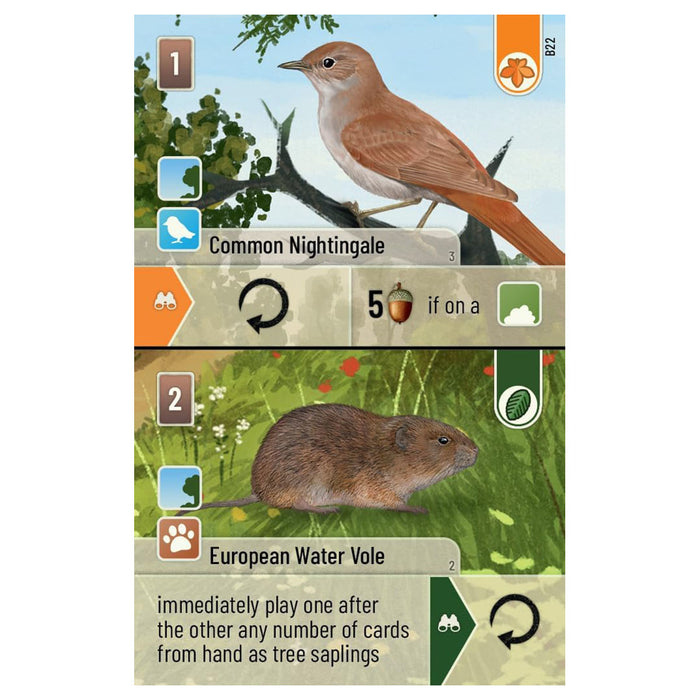 Forest Shuffle: Woodland Edge Game Expansion 