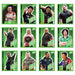 Panini PDC 2025/26 World Darts Championship Sticker Collection 36 Pack Box