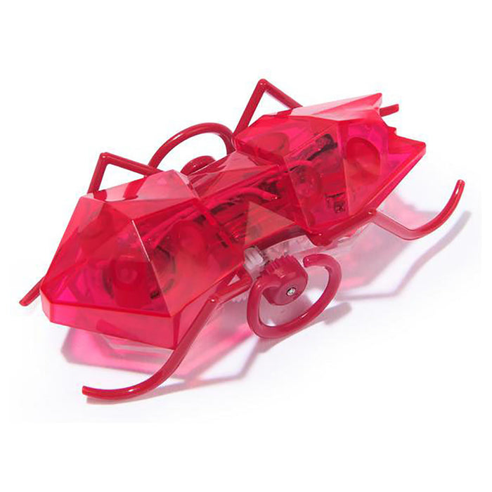 Hex Bots Micro Ant Red Mini Robot Bug