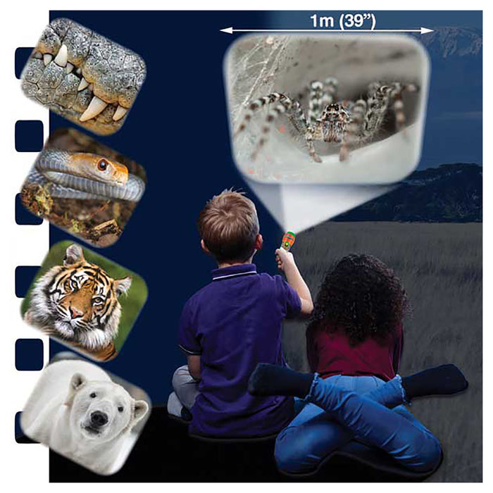 Brainstorm Most Deadly Torch & Projector Set