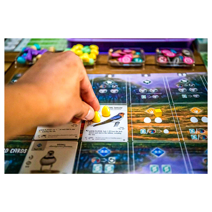 Wingspan Oceania Expansion Game