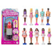Mini Barbieland Fashionistas Doll (styles vary)