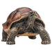 Mojo Fun Wildlife Giant Tortoise Figure