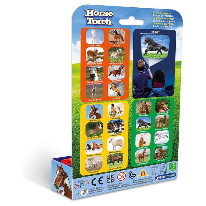 Brainstorm Horse Torch & Projector