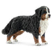 Schleich Bernese Mountain Dog Female Figure