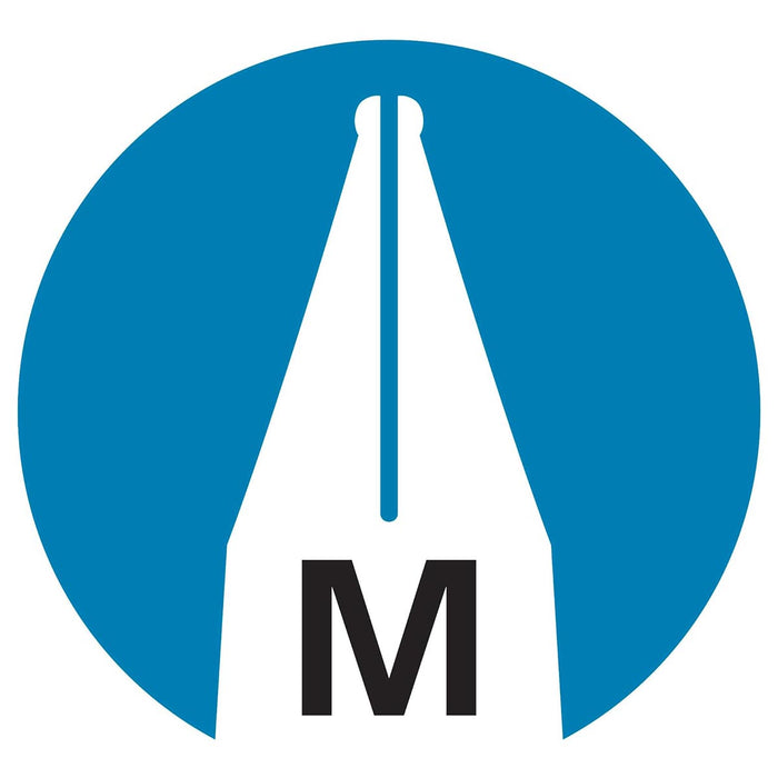 STABILO EASYbuddy Ergonomic Refillable School Fountain Pen 'M' Nib Blue