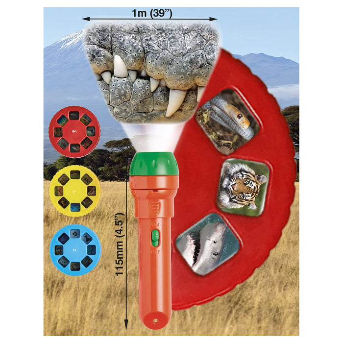 Brainstorm Most Deadly Torch & Projector