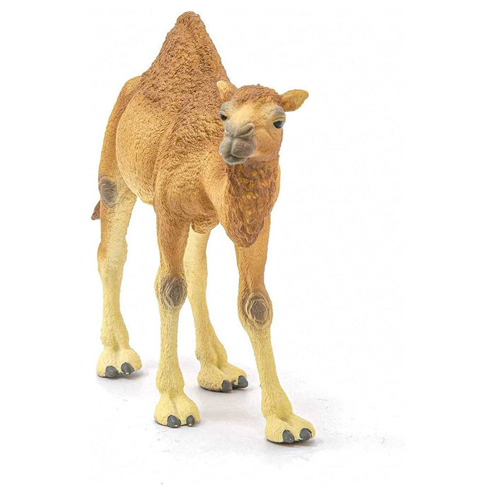 Schleich Wild Life Dromedary Figure