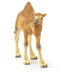 Schleich Wild Life Dromedary Figure