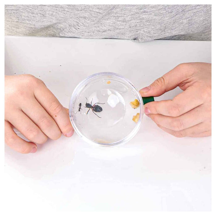 Nick Baker's Ant World Kit