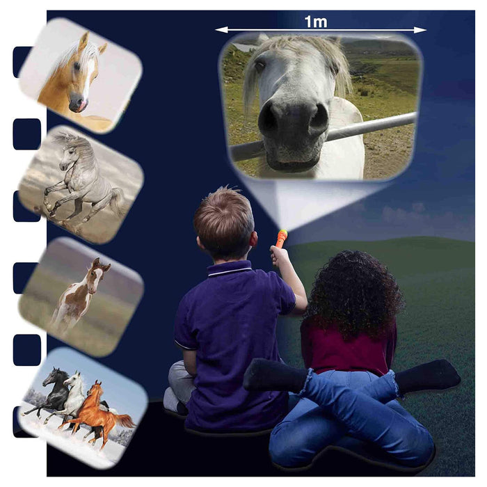 Brainstorm Horse Torch & Projector