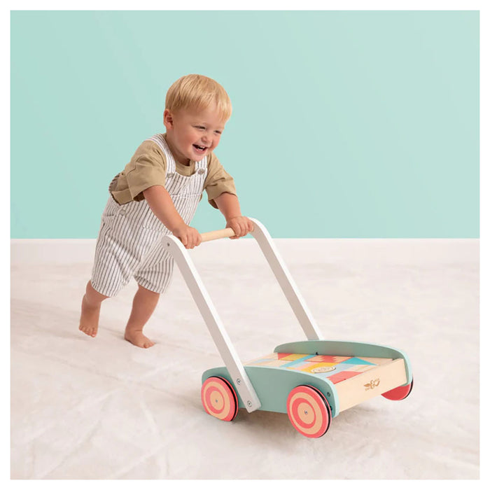 Owl & Fox Wooden Baby Blocks & Walker