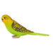Budgerigar Green Figure