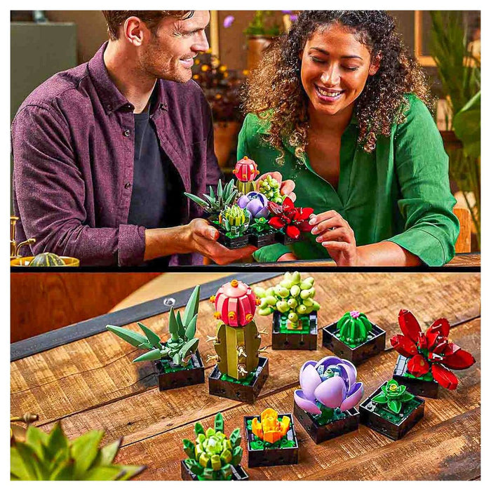lego succulents uk LEGO Botanical Collections: Succulents 10309 Building Set — Booghe