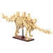 CaDA Dinosaur Fossils: Stegosaurus Building Set