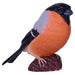 Bullfinch Figure