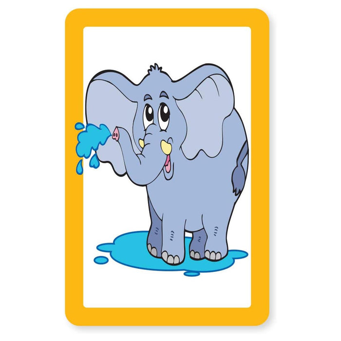 Snap and Pairs Zoo Card Game