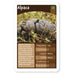 Plop Trumps No.1 Card Game