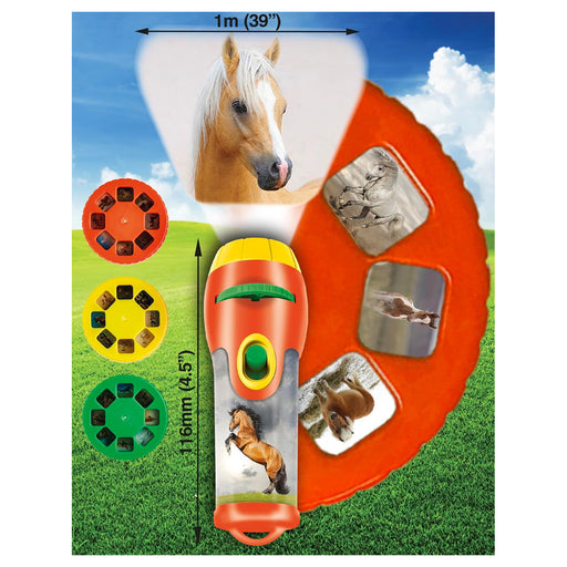 Brainstorm Horse Torch & Projector Set