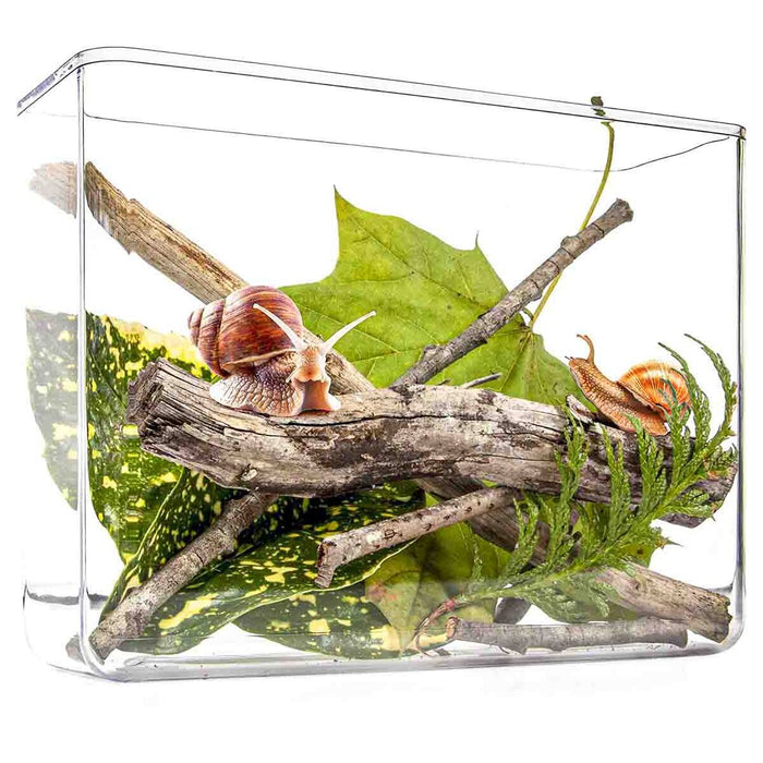 Nick Baker's Snail World Kit