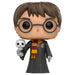 Funko Pop! Harry Potter with Hedwig Vinyl Figure #31