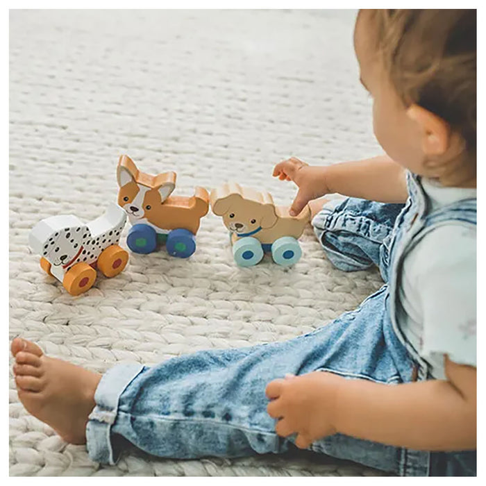 Orange Tree Wooden Puppy Push Toys (3 Pack)