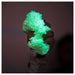 Playfoam Glow in the Dark (4 Pack)
