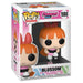 Funko Pop! Animation: Powerpuff Girls: Blossom Vinyl Figure #1080