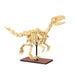 CaDA Dinosaur Fossils Building Set