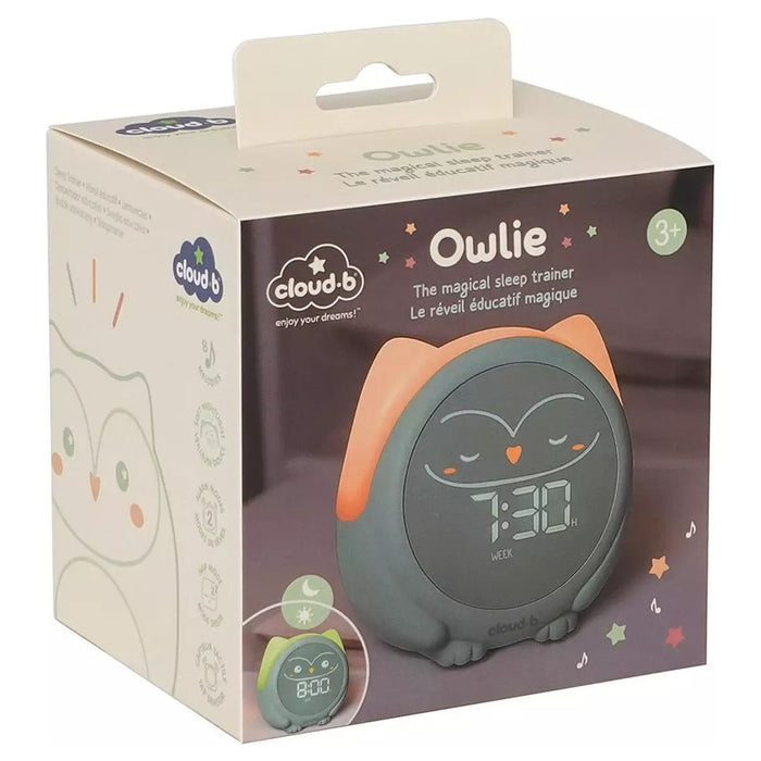 Cloud B Owlie Sleep Trainer