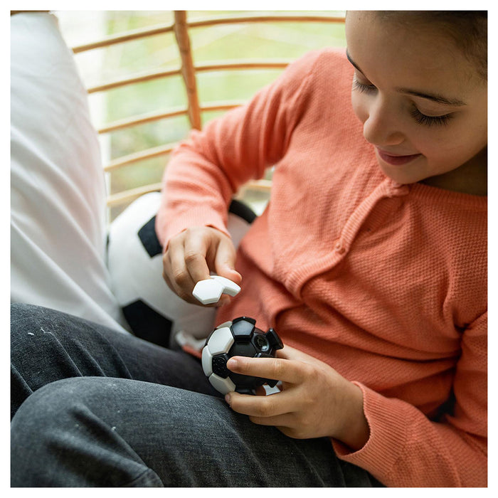 Plug & Play Ball Puzzle Game