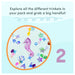 Glo Pals Sensory Play Fun Fillers ABC & 123 Set