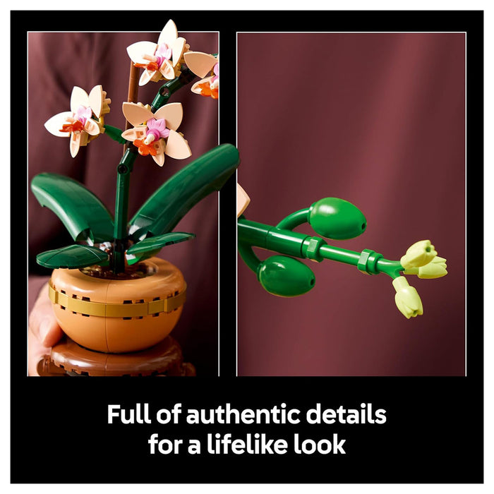 LEGO Botanicals Mini Orchid Building Set