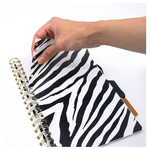 Pukka Pad Wild B5 Project Book (2 Pack)