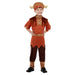 Viking or Anglo Saxon Kids' Costume Medium (7-9 Years)