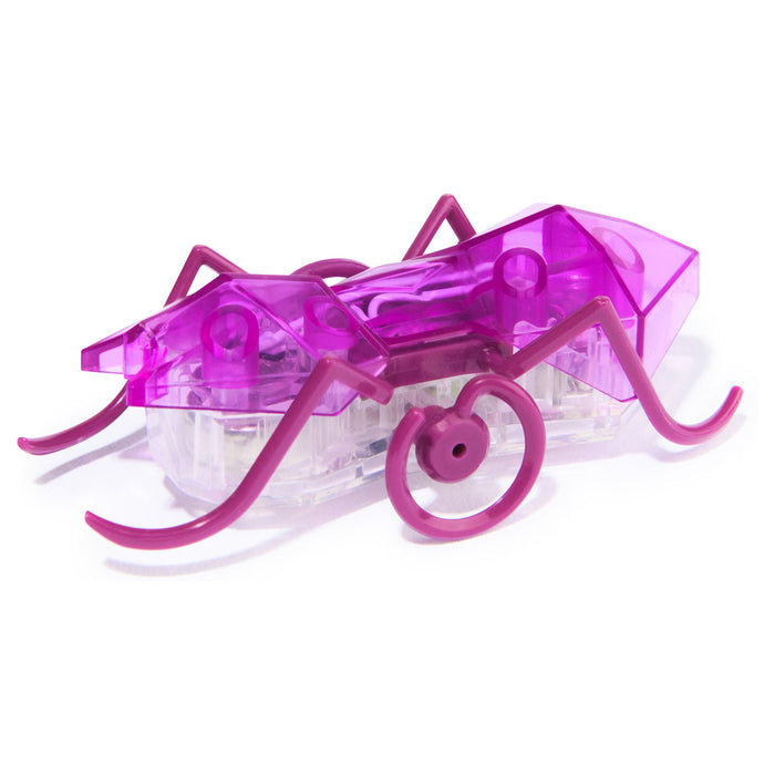Hex Bots Micro Ant Purple Mini Robot Bug