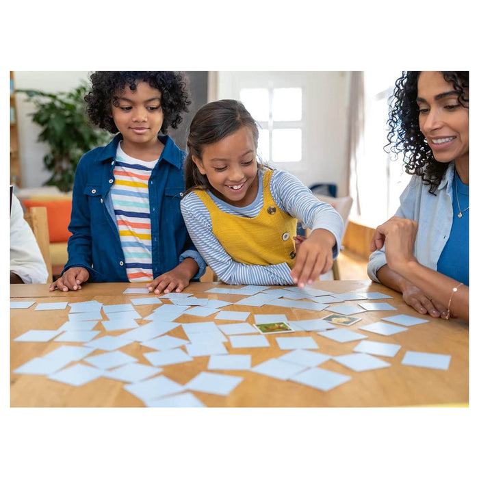 The Gruffalo Card Games