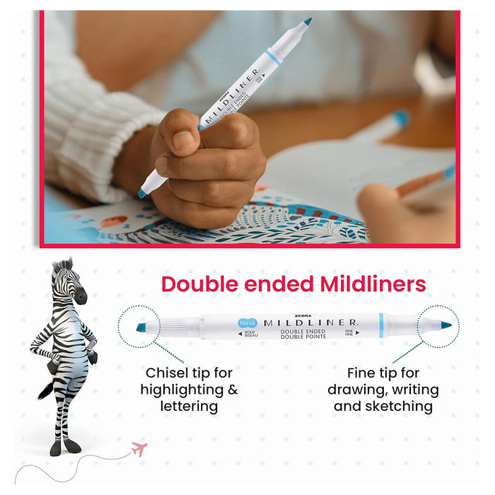 Zebra Journaling and Lettering  Set 18 Pack