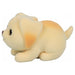 Little Live Pets NeeDees Woofee Puppy