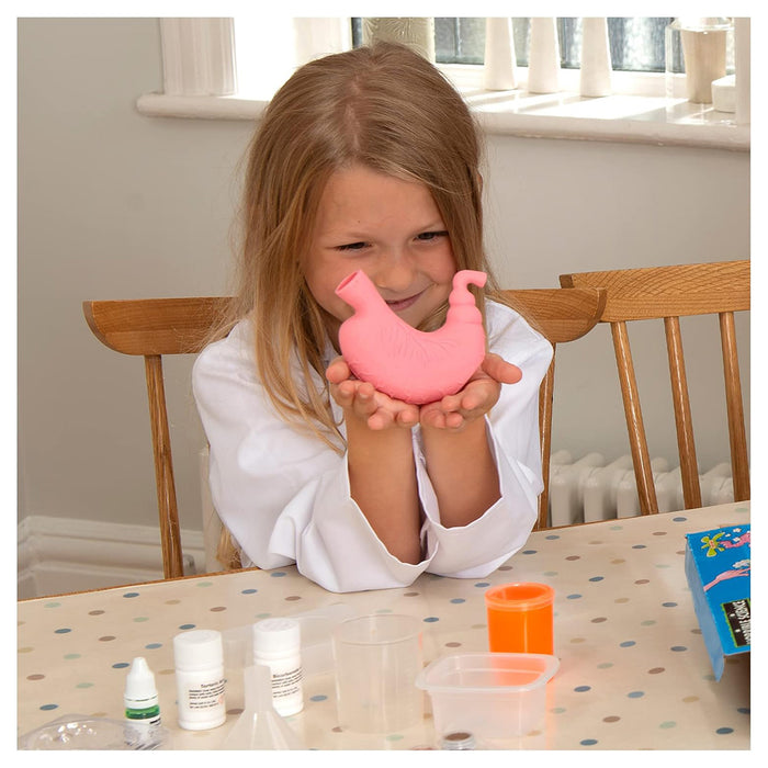 Galt Horrible Science Really Rotten Experiments Kit