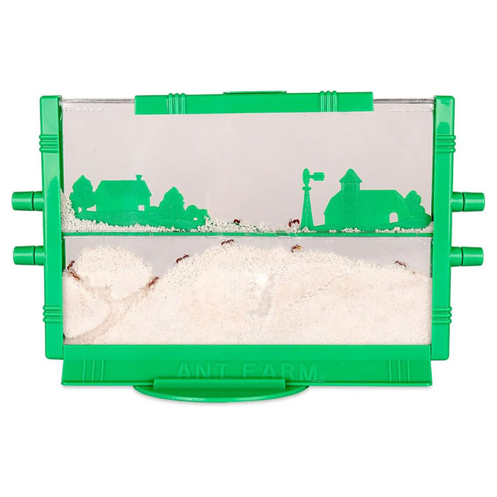 Original Ant Farm Kit