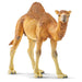 Schleich Wild Life Dromedary Figure