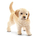 Schleich Farm World Golden Retriever Puppy Figure
