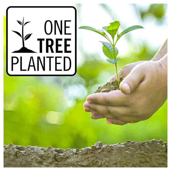 My Fairy Garden Blossom Balloon Playset