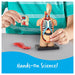 Learning Resources Human Anatomy Model Body 