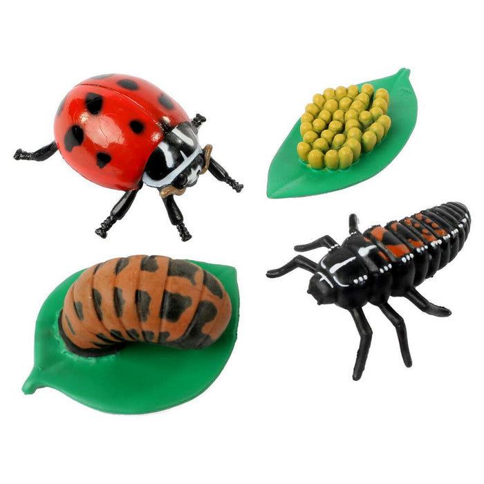 Insect Lore Ladybird Life Cycle Figurines
