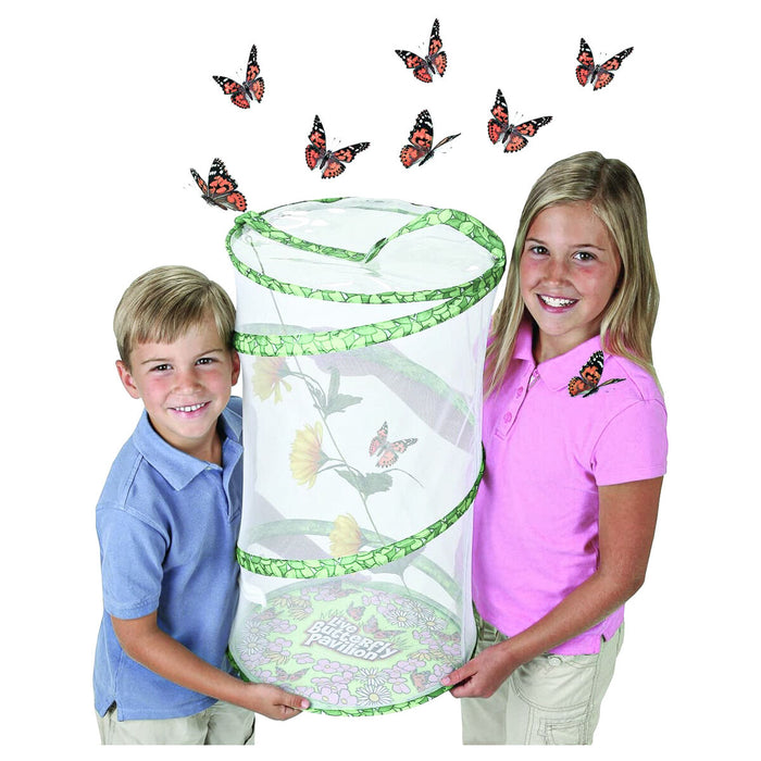 Insect Lore Original Butterfly Pavilion Kit